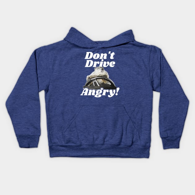 Don't Drive Angry! Kids Hoodie by darklordpug